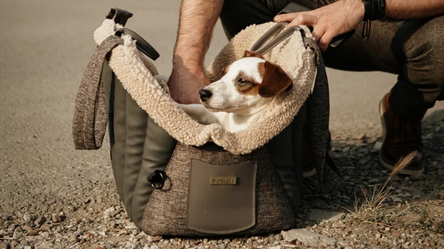 Puppy Carrier Bag